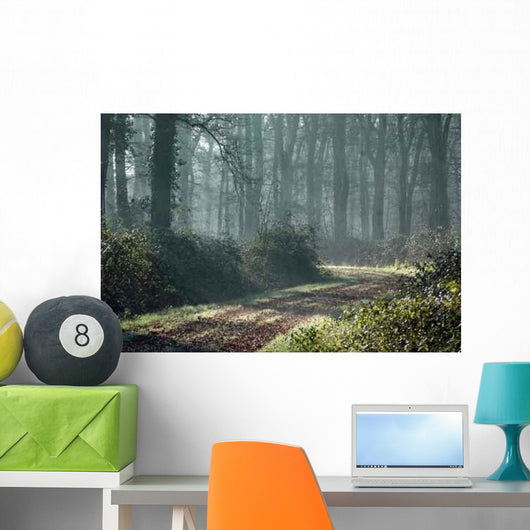 Le Chemin Dans La Wall Decal