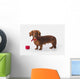 A Longhair Red Dachshund With A Small Red Box At Christmas Wall Mural