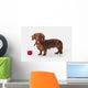 A Longhair Red Dachshund With A Small Red Box At Christmas Wall Mural