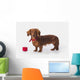 A Longhair Red Dachshund With A Small Red Box At Christmas Wall Mural