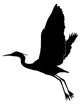 Silhouette Egret