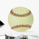 Used Baseball Wall Decal