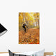 Cyclist Riding In Autumn On Humber Trail, Toronto Wall Mural