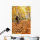Cyclist Riding In Autumn On Humber Trail, Toronto Wall Mural