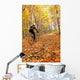 Cyclist Riding In Autumn On Humber Trail, Toronto Wall Mural