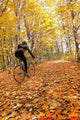 Cyclist Riding In Autumn On Humber Trail, Toronto Wall Mural
