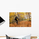 Cyclist Riding In Autumn On Humber Trail, Toronto Wall Mural