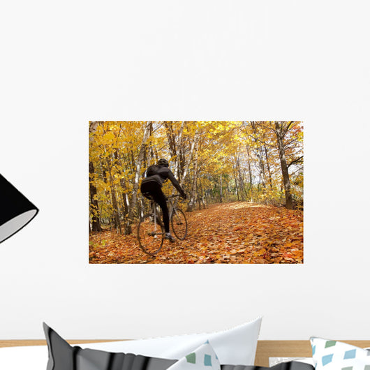 Cyclist Riding In Autumn On Humber Trail, Toronto Wall Mural