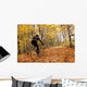 Cyclist Riding In Autumn On Humber Trail, Toronto Wall Mural