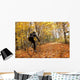 Cyclist Riding In Autumn On Humber Trail, Toronto Wall Mural