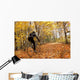 Cyclist Riding In Autumn On Humber Trail, Toronto Wall Mural