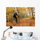 Cyclist Riding In Autumn On Humber Trail, Toronto Wall Mural
