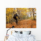 Cyclist Riding In Autumn On Humber Trail, Toronto Wall Mural