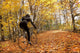Cyclist Riding In Autumn On Humber Trail, Toronto Wall Mural