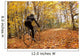 Cyclist Riding In Autumn On Humber Trail, Toronto Wall Mural