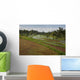 Rice Fields Wall Mural