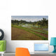 Rice Fields Wall Mural