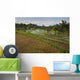 Rice Fields Wall Mural