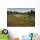 Rice Fields Wall Mural