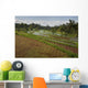 Rice Fields Wall Mural