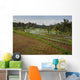 Rice Fields Wall Mural