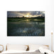Rice Fields Near Ubud Wall Mural