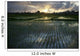 Rice Fields Near Ubud Wall Mural