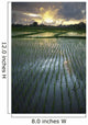 Rice Fields Near Ubud Wall Mural