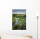 Rice Fields Wall Mural
