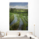 Rice Fields Wall Mural