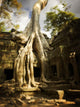 Angkor Wat Wall Mural