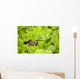Leopard Frog Perching On Water Lettuce Wall Mural