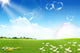 Green field with flowers Wall Mural