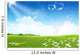 Green field with flowers Wall Mural