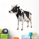 Cow Wall Decal