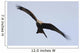 A Red Kite Wall Mural