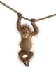 Cute monkey pictures HD Wall Decal