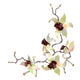 Orchid Branch 4