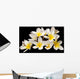 Plumeria Wall Mural