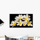 Plumeria Wall Mural