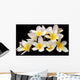 Plumeria Wall Mural