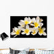 Plumeria Wall Mural