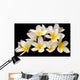 Plumeria Wall Mural