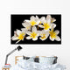 Plumeria Wall Mural