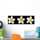 three frangipani on black Wall Mural
