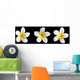 three frangipani on black Wall Mural
