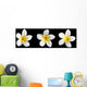 three frangipani on black Wall Mural