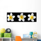 three frangipani on black Wall Mural