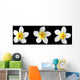three frangipani on black Wall Mural