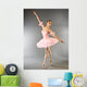 Ballerinas Toe Dance Wall Decal